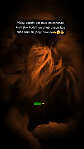 #creatorsearchinsights #fyp #viraltiktok 