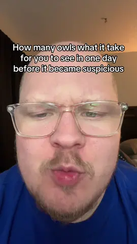 How many owls would it take for you to be suspicious? #glitsxo 