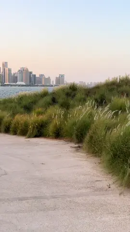 #fyp #qatar #explore #doha #foryoupage 