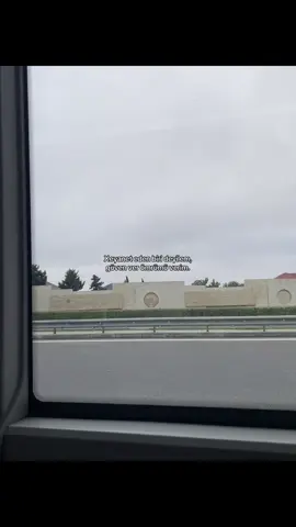 … #buzovna #тагизаде❤️🐈 