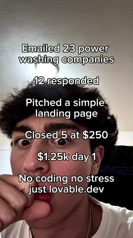 Lovable is the method😭💰💸 #coding #ai #websites #fypシ゚viral #lovablecampaign 