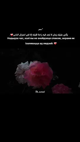 صامتاً لو تكلما