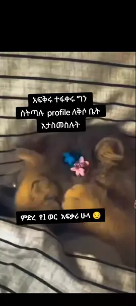 #creatorsearchinsights #fypシ゚viral🖤tiktok #foryoupage❤️❤️ #fyppppppppppppppppppppppp #cr7 