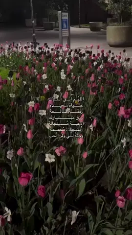 #اكتب_شي_توجر_عليه #اجر_لي_ولكم_ولوالدينا_وللمسلمين #استغفرالله #سبحان_الله_وبحمده_سبحان_الله_العظيم #لاحول_ولا_قوة_الا_بالله_العلي_العظيم 