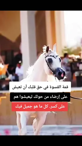 #خيول_عربية_اصيلة❤️🐎  #اقتباسات_عبارات_خواطر🖤🦋❤️  #المصمم_بوهيبه🎬بوهيبه🎵  #مجرد________ذووووووق🎶🎵💞 