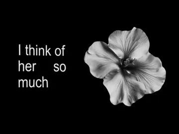 Dark red// #stevelacy #neverszx #lyricsvideo #foryou #lyrics 