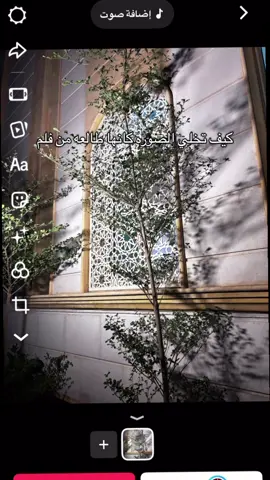 #بني_تميم #اكسبلور #fpy #المرض_الجديد #صوره