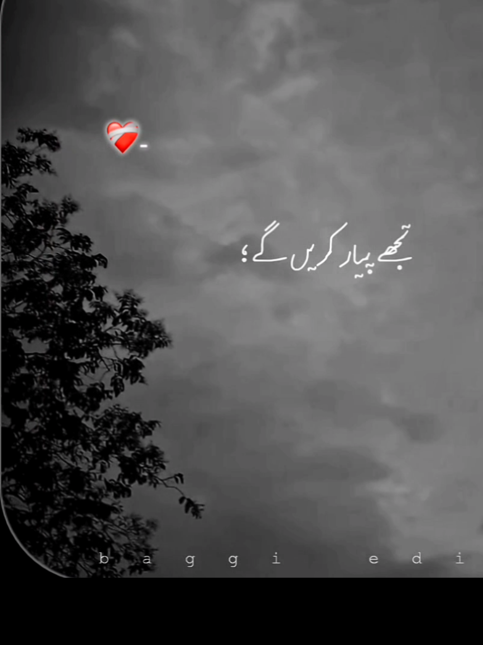 Sari umrrrr tujy Pyar Kary gy  👀❤️‍🩹🌍🦋💍 . . . . . . #lyrics #foryoupage #foryou #goviral #lyricsvideo 