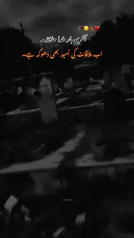 aakhri baar Khuda Hafiz 💕