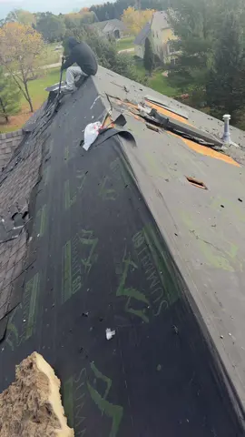 #chayolaroofera #amor #fyp #roofing 