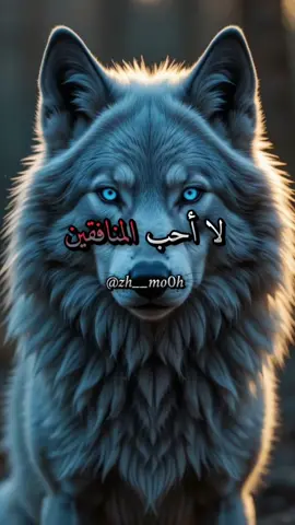 لا أحب المنافقين  #كلام_من_ذهب #اقتباسات  #تصميم_فيديوهات🎶🎤🎬  #fyp  #zh__mo0h 