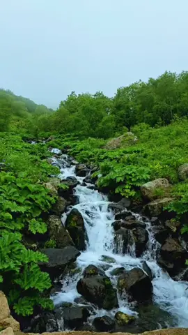 ‎اَلَلَهَمَ يَسَرَ لَنَاَ أمَوًّرَنَاَ، وًّفَرَجَ هَمَوًّمَنَاَ وًّاَشَفَ مَرََضَاَنَاَ 🌹🍃وًّاَرَزَّقَنَاَ ✍🏻اَلَخَيَرَ دَاَئَمَاًَ