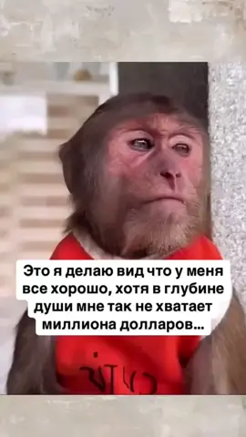 🥲#😂😂😂 #деньги #рек #лайфхак #😂😂 