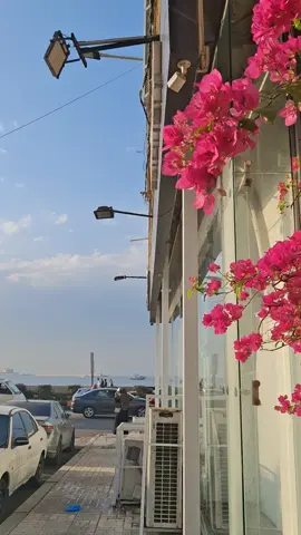 #alexandria #اسكندرية #explore #sunset #foryou 