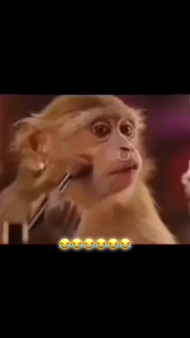 صديقتي بس يحكيلها جوزها بدي اخذك مشوار جهزي حالك😂😂😂