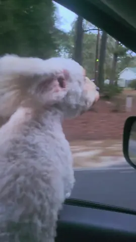 🥰🥰🥰🥰 #fyp #mia #delulu  #viral #parati 