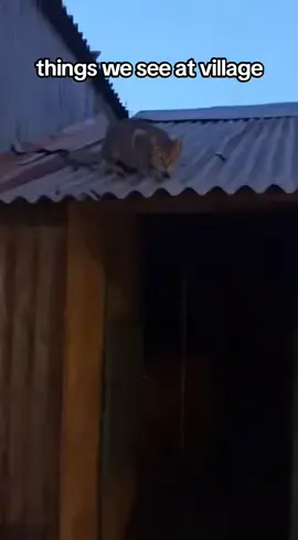 #fyp #witches #creepy #village #trending 