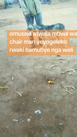 #creatorsearchinsights 