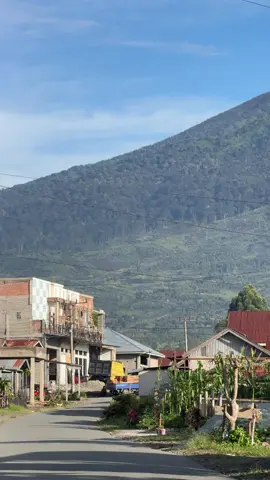 #kayuarokerinci #kerinci_jambi_indonesia #fyp 