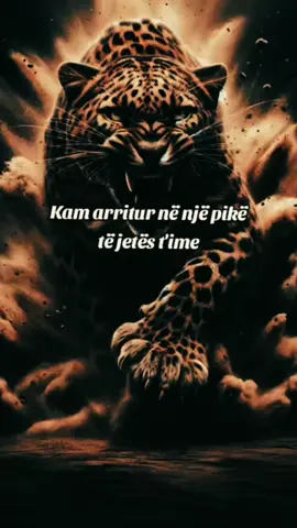 #sandraaleks✨ #fypviralシ #fyp #thënie #tiktokviral 