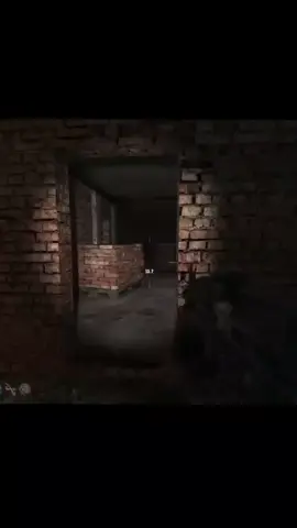 #сталкер #сталкер2 #сталкертч 