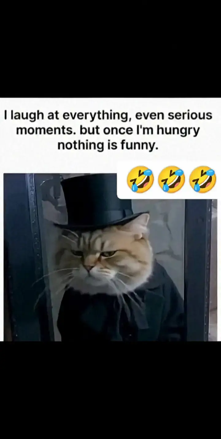 #creatorsearchinsights 