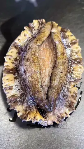 abalone #asmr #tiktokfood 