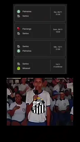 calma aí santos não vai doer tanto 😂😂😂😂 #santos #brasileirão #resenha #palmeiras #flamengo 