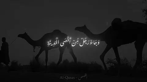 #المنشاوي #سورة_القصص 