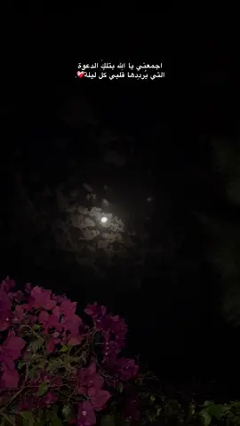 اجمعني يا الله بتلكَ الدعوة التي يُردِدها قَلبي كُل ليلة❤️‍🩹🥹. #foryou #سلفيت_رام_الله_جنين_بيت_لحم_يافا #fypシ #like #راحة 
