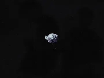 face денуса прям в тему @ТГК/ванденизка @тгк:папа может #ванденизки #fyp #ванденизка #папаможет #on 