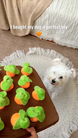 Keep your pup entertained with this interactive squeaky carrot puzzle toy. Perfect for hide-and-seek play and mental stimulation. 🐶🥕 🔍 Find it at https://temu.to/m/g0kkpnpygy6 or with this code fer3599. #Temu #TemuFinds #PetToys