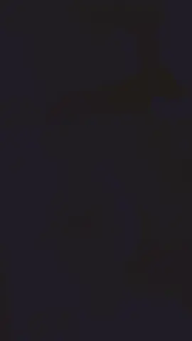 #milutkiegowieczorku❤️ #cudownejnocykochani🤪🥰😊🤗😉 #dobranoc😊🌃😴 