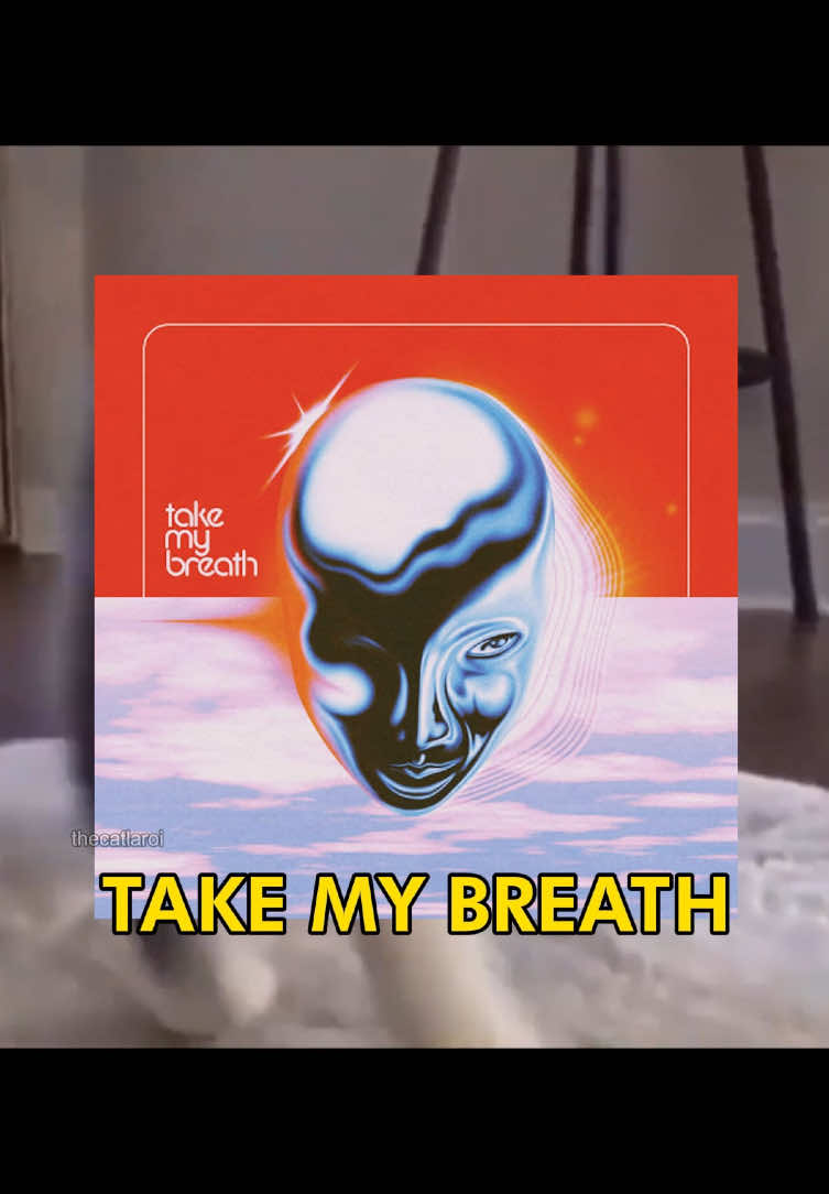 🗣️🗣️ TAKE MY BREATH 🔥🔥 #catcore #cat #theweekend #catsoftiktok #songoftheday 