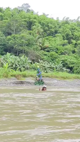 PINA HIRAPAN MUPA 😭