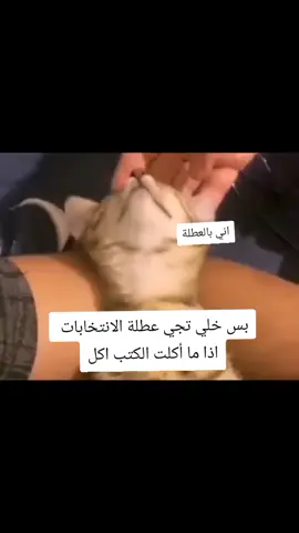 يابوية عقلي يحسب عطلة نهاية السنة😭😂😂