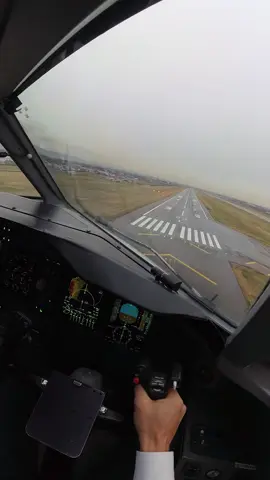 Landing, wet rw #aviation #pilot #crosswind #landing #rain 