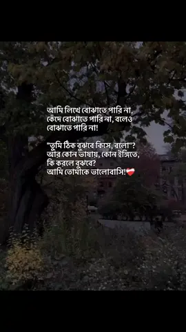 আমি লিখে বোঝাতে পারি না, কেঁদে বোঝাতে পারি না, বলেও বোঝাতে পারি না! 