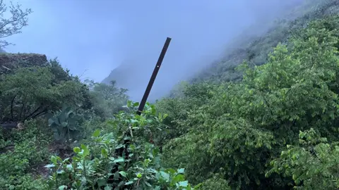 August😔🍃🍃.#abha 