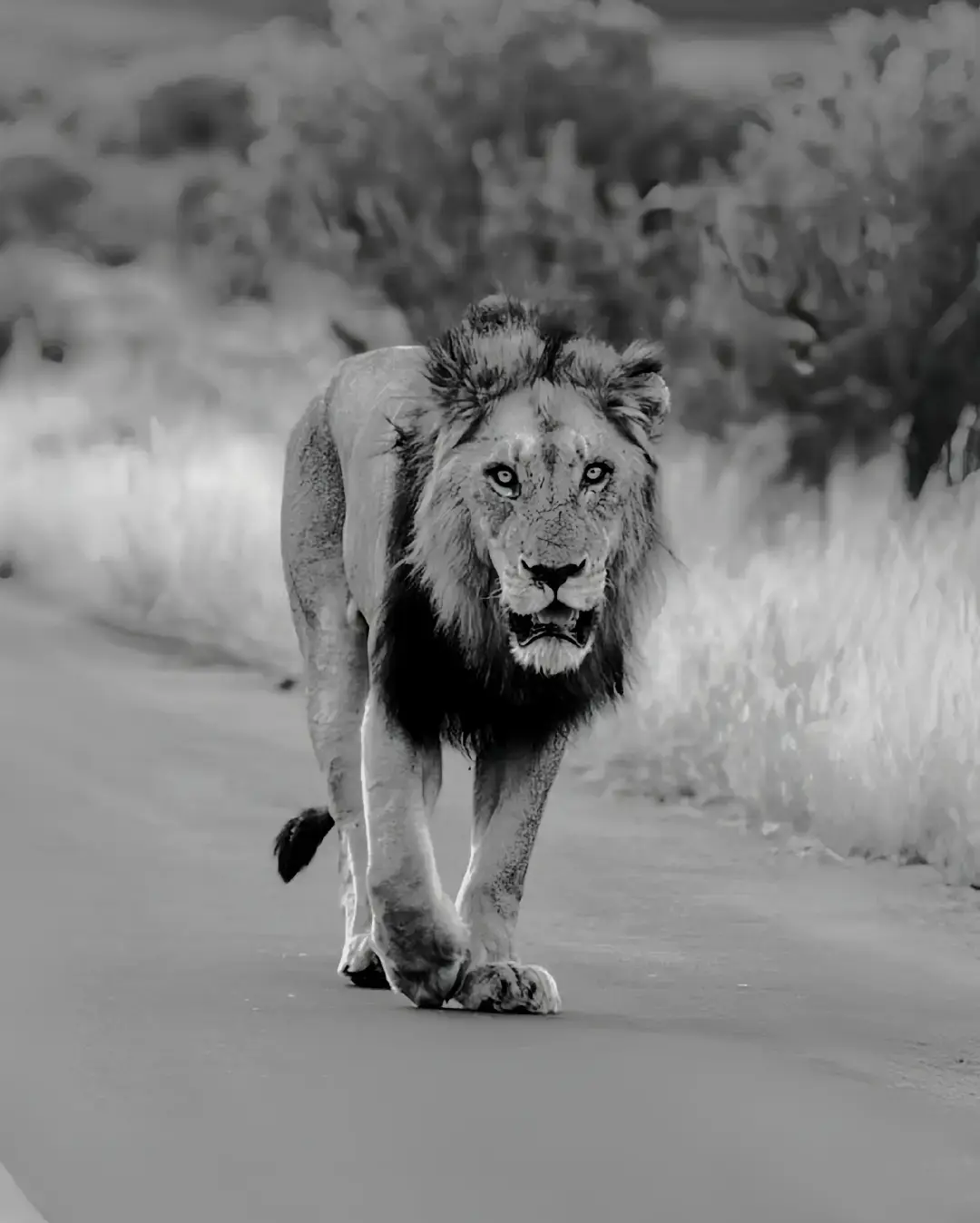 #عبارات #اقتباسات #تحفيز #اكسبلور #explore 