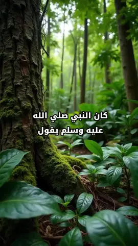 #CapCut الله الله ربي لا أشرك به شيئاً #القران_الكريم_راحه_نفسية😍🕋 #foryou #fyp #fouryoupage @🍂صدقة جارية 🍂 