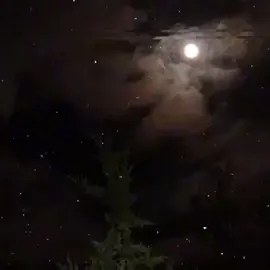 . #سيدفاقدالموسوي  #عيوني_يروحلك_فدوه_  #تصميمي  #اهل_البيت_عليهم_سلام  #صعدو_الفيديو 