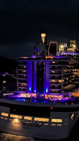 MSC Seashore is fire! 🔥  @MSC Cruises Official #MSCSehashore #crocieristacom #Crociera #Crociere 