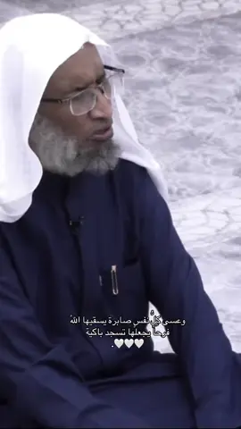 #explore #fyp #محمد_صبحي 