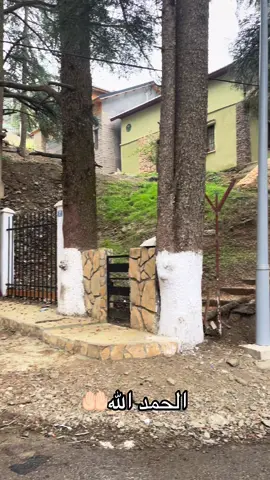 #fyp #tiktok #foryou 