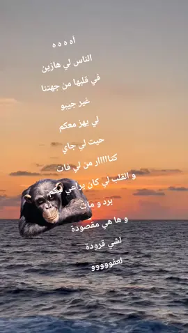 الحمد لله ربي كبير  #الشعب_الصيني_ماله_حل #اكسبلورexplore #flowers #tiktokindia #المغرب 