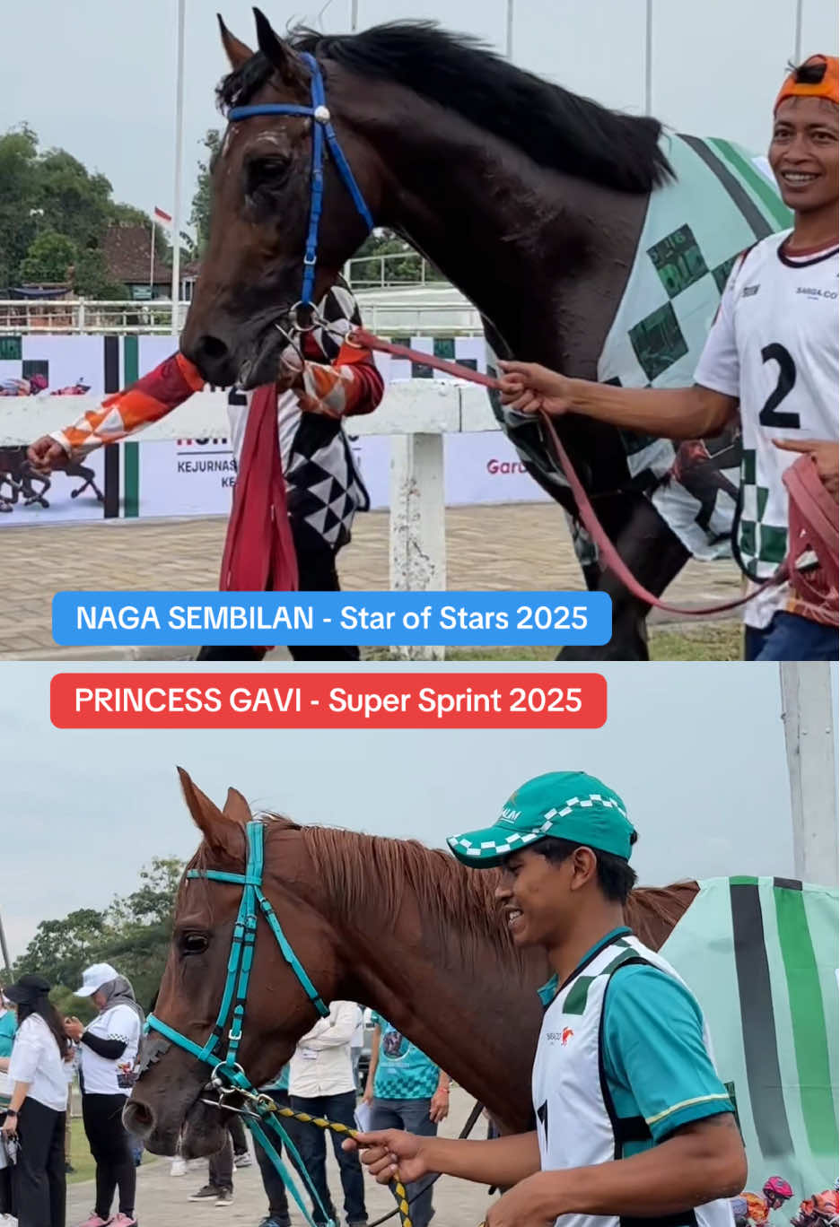 siapa jagoan kalian di Kelas Terbuka (HB X Cup) - 2.000 M? coba komen!🔥 #nagasembilan #princessgavi #pacuankuda #kudapacu #horseracing #pacuankudaindonesia