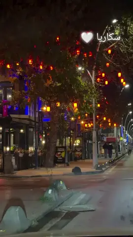 #تركيا #سكاريا 