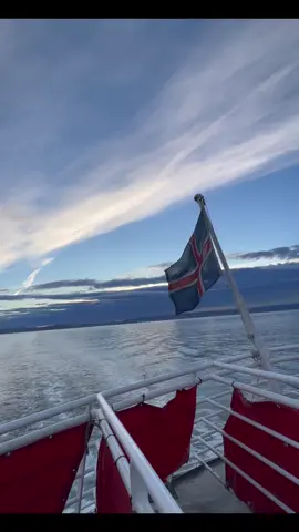 📍Iceland 🇮🇸  Just perfect! We love a holiday that involves water, views and exploring. We were lucky on this trip to see whales 🐋  #iceland #icelandadventure #travel #whale #fyp 