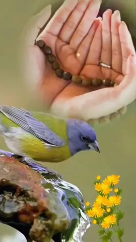 #CapCut #🌹🕋💫☝🏾🕋✨🌻🌼🤲✨💫✨☝🏾☝🏾🤲 